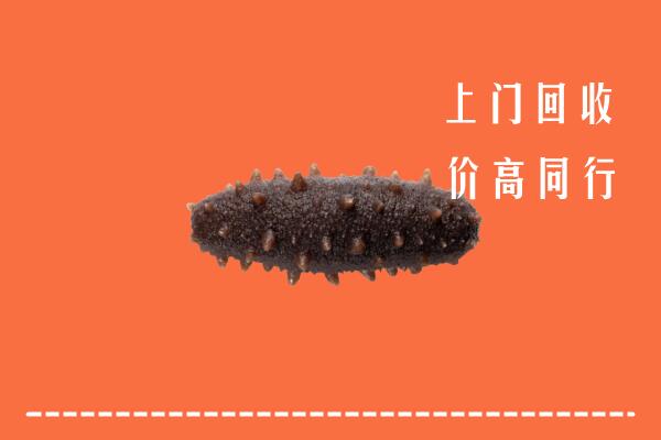 闵行区高价回收海参